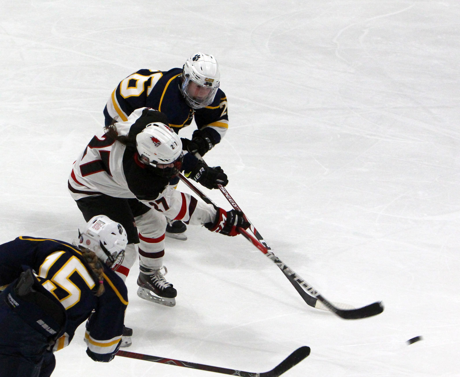 Girls Hockey State Championship: Chippewa Falls/Menomonie vs University School of Milwaukee in Wisconsin Rapids 2-20-21